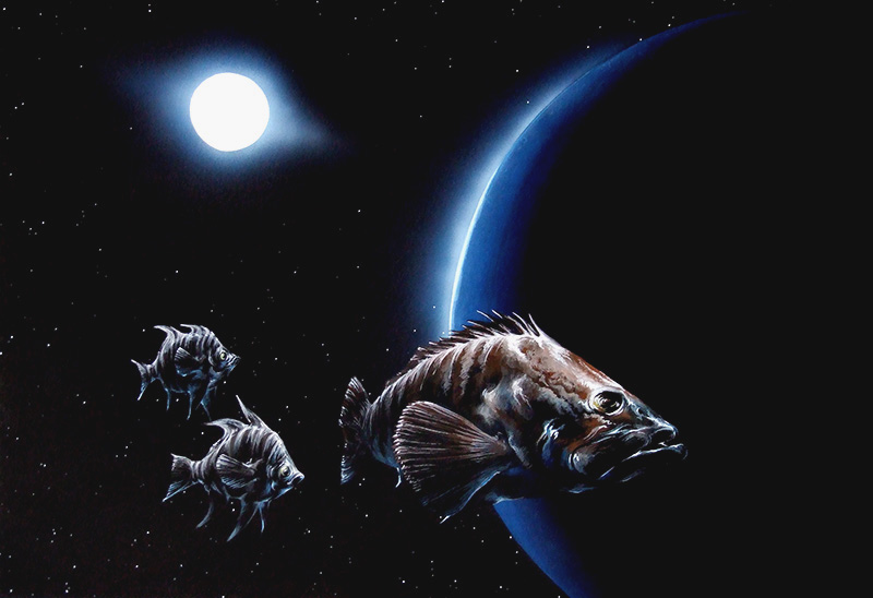 aquatic space 1