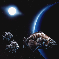 aquatic space 1