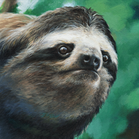 sloth 2