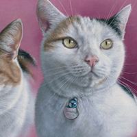 smartie and squeak